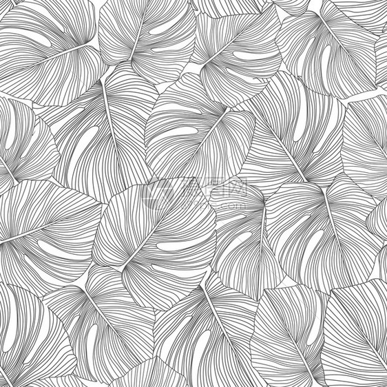 一种无缝的形态热带白色背景的植物叶织纺品包装纸的潮流设计矢量说明单色形态热带图片