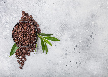 新鲜生有机咖啡豆和轻便厨房桌上的咖啡树叶图片