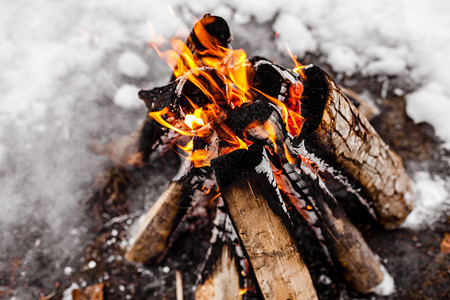 寒冬的营火雪森林冬天旅游业雪的火焰冬天背景大自然图片