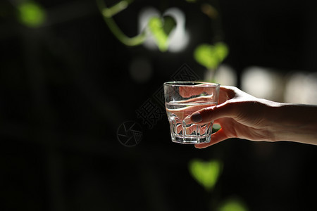 妇女双手被孤立用绿叶将一杯水握在黑暗背景上太阳光线落在玻璃上健康早晨图片