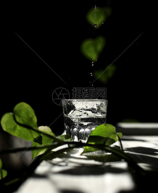 a白桌上的一杯水面有太阳的光线和绿色叶子玻璃杯上面有水白桌的一杯水面有太阳的光线和绿色叶子图片