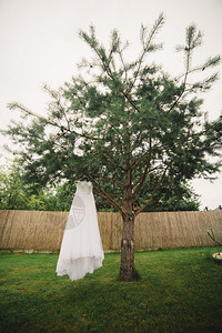 婚礼服挂在树上图片