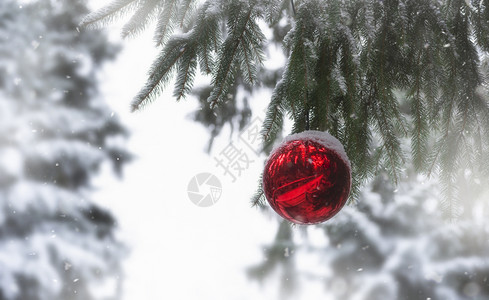 圣诞挂圣诞节装饰室外风景红圣诞舞会挂在冬季的雪天绿花枝上在户外树装饰xma的品背景