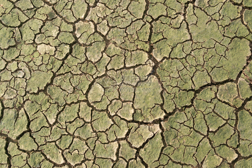 干旱地面裂开热水没有分图片