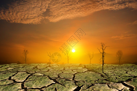 沙漠景观全球变暖的概念图片