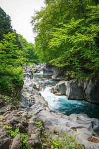 伊芙蕾雅地方景观高清图片