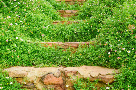 石头楼梯和花朵图片