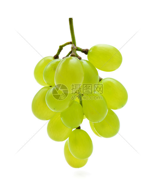 白底孤立的绿葡萄图片
