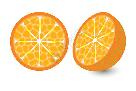 白色背景上的新鲜橙色插图片新鲜橙色插图片图片