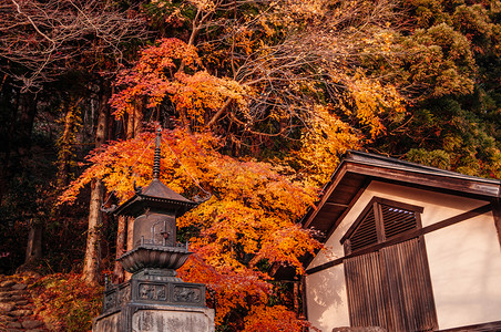 秋天Yamderishkuji寺庙的青铜塔日本雅帕塔马加Yamgt图片