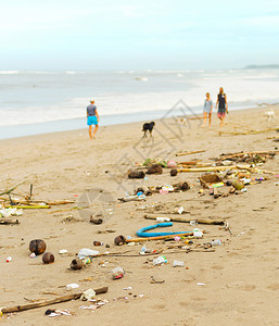 被塑料和垃圾沙滩污染的狗和一起行走图片