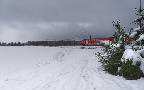 冬季风景有雪覆盖的树木和田地还有一辆德国客运列车图片