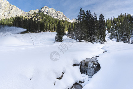 冬季山谷的小溪环绕着雪地和松树图片