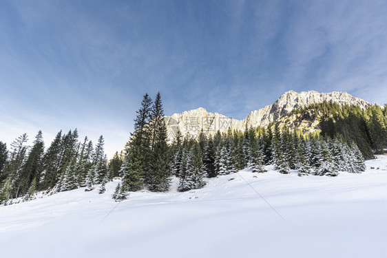 Austrian阿尔卑斯山的冬季风景白雪和林清洁蓝天下有雪覆盖的树木和岩山图片