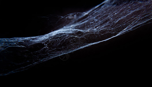 黑背景的蜘蛛网或图片