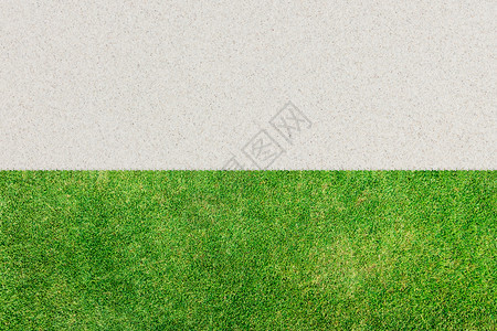 绿色草和白沙的背景图片