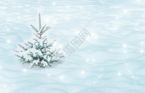 冬季风景圣诞节落下美丽的雪图片
