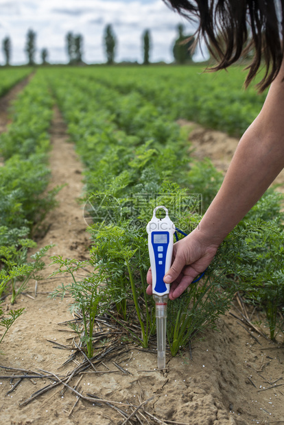绿色植物和女农民测量土壤中的ph和湿度高技术农业概念图片