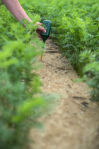 绿色植物和女农民测量土壤中的ph和湿度高技术农业概念图片