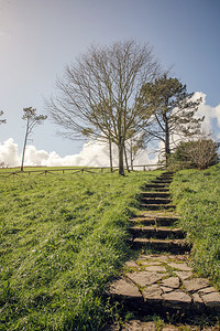 在天上自然景观的石头楼梯上背景有云在草地上石头楼梯树图片