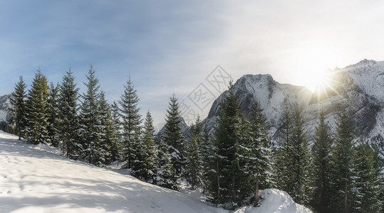 阳光明媚的冬天风景山峰有雪盖林树还流在阳光下奥斯特里亚的厄尔瓦德寒冷的12月天图片