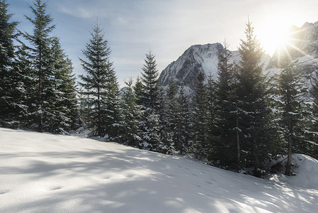 冬天阳光明媚的气在雪盖山峰和树上梦幻的圣诞节旅行地点冬天的风景背景图片