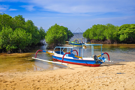 红树海滩和传统船只位于印度巴利恩蒙邦萨莱因多尼西亚红树海滩恩巴利因多尼西亚图片