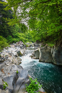 达亚加瓦河上的坎曼富基深渊地点日本尼科雅潘卡曼加富基深渊日本尼科伊潘图片