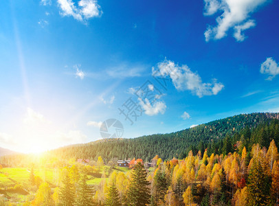 秋天风景山坡上的黄树和红太阳下山图片
