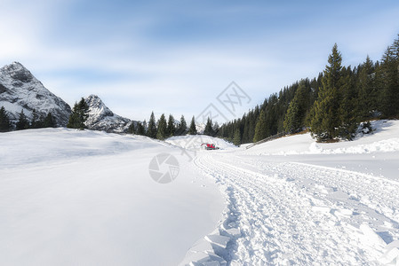 冬季森林和道路被雪覆盖景观图片