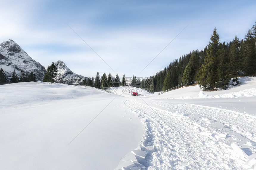 冬季森林和道路被雪覆盖景观图片