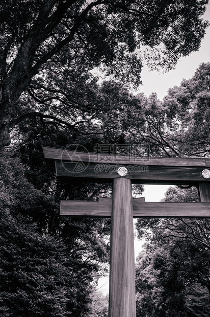 大树下巨的历史木门最重要的圣殿和日本首府城市绿色空间图片