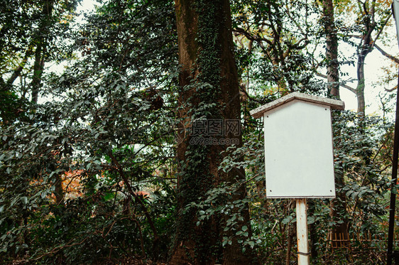 古老的白色日本招牌在大树下青柳公园附近的森林东京图片
