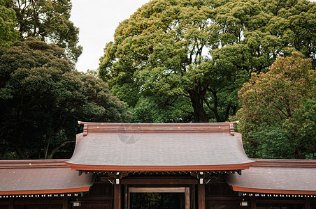 2018tkyojapnmeijngu圣殿历史木质门和走廊背景有大树是日本首府最重要的圣殿图片