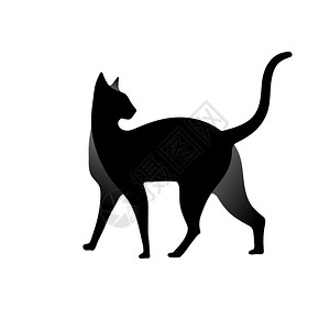 简单平坦的cat双光灯设计矢量说明标识模板样式图片