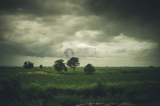 暴风雨中强马图片