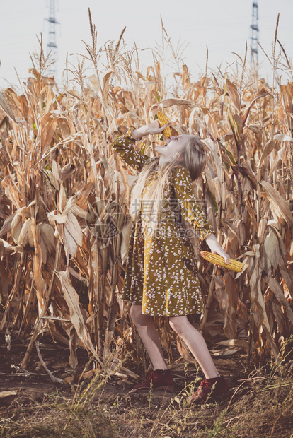 在玉米田里长着耳朵的金发美女