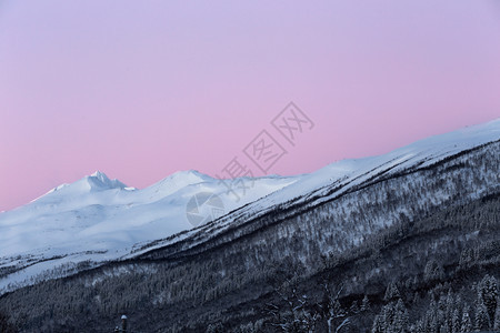 美丽的挪威风景诺冬天早上在山对着粉红天空图片
