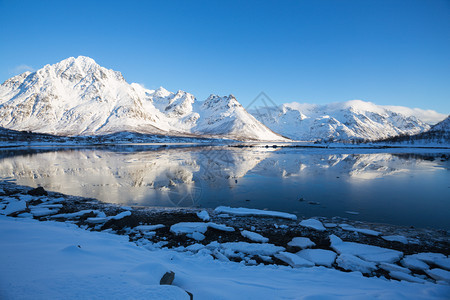 美丽的雪山及其在峡湾的反射和碎冰块图片