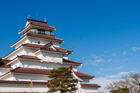 2018年4月日天津水松本冬蓝天空下的松树城堡和冬蓝天空下的松树图片