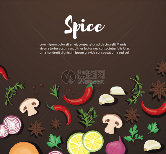 香料和蔬菜食品背景写矢量说明eps10的写空间图片