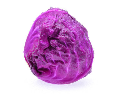 紫色卷心菜白底带水滴图片