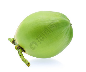 白色背景上的绿椰子果图片