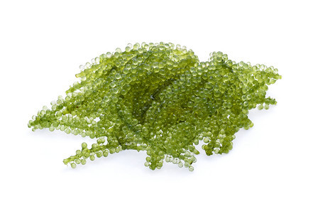 葡萄海藻或白底孤立的绿色鱼子酱图片