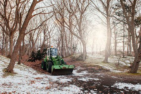 无叶树下的拖拉机冬季下雪覆盖土地图片
