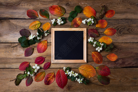 木制方形图框模型配有秋叶和鬼莓空框配有演示文稿设计现代艺术的模板框架图片