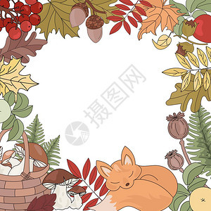 秋季动物和植物矢量元素背景图片