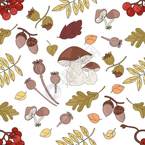 榛子插画_榛子卡通_榛子插图_手绘_板绘_摄图网