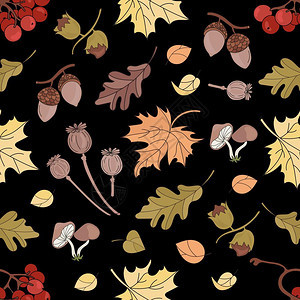 秋天植物元素背景图片