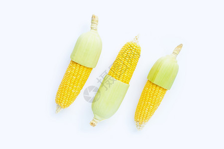 白色背景的新鲜玉米图片